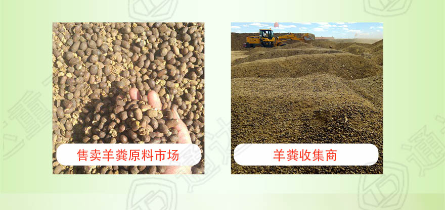 羊糞生產線_05.jpg