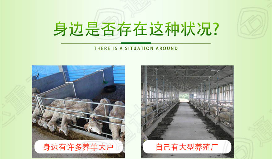 羊糞生產線_04.jpg
